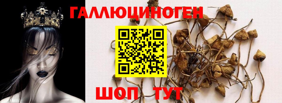 Галлюциногенные грибы мухоморы  Вход с VPN  Муром 